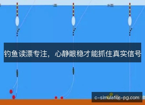 钓鱼读漂专注，心静眼稳才能抓住真实信号